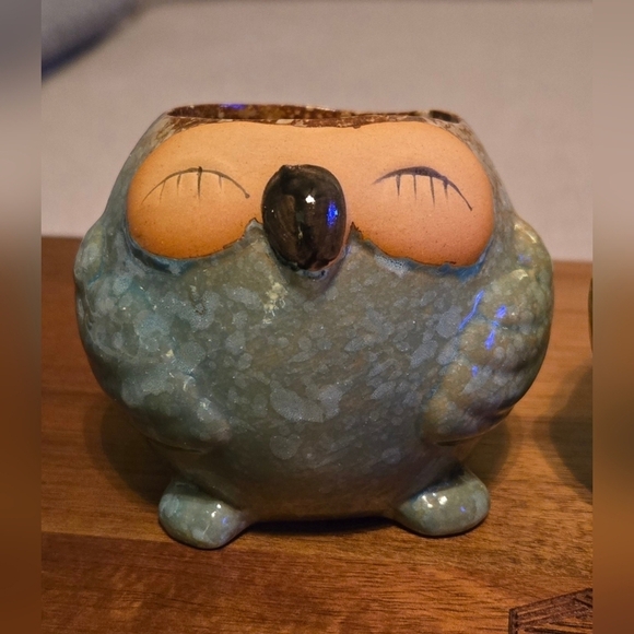 NWOT | Adorable Ceramic Owl Succulent Planter Pots | Set Of 4 | Drainage Holes - Picture 13 of 16